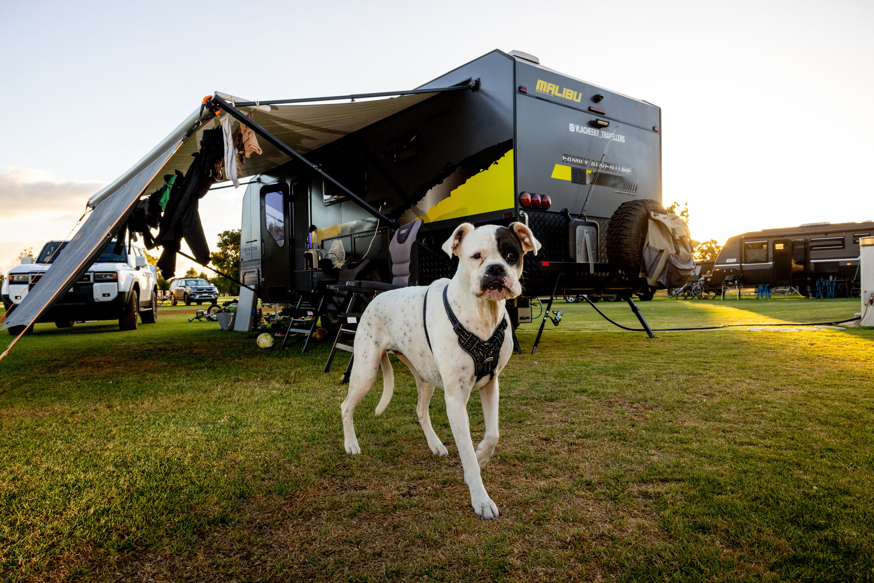 Off-Lead Dog Exercise Area