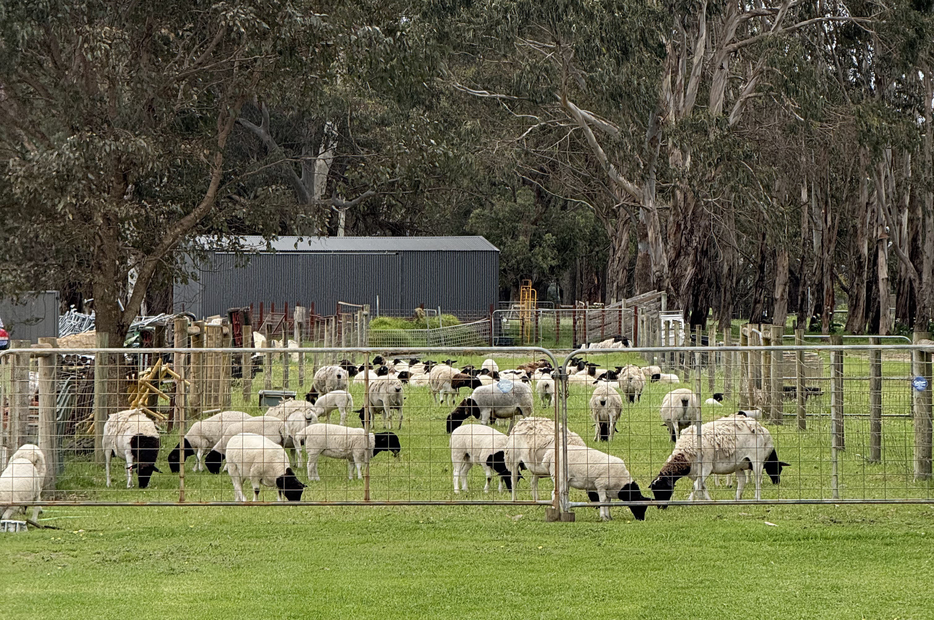 Farm Experience