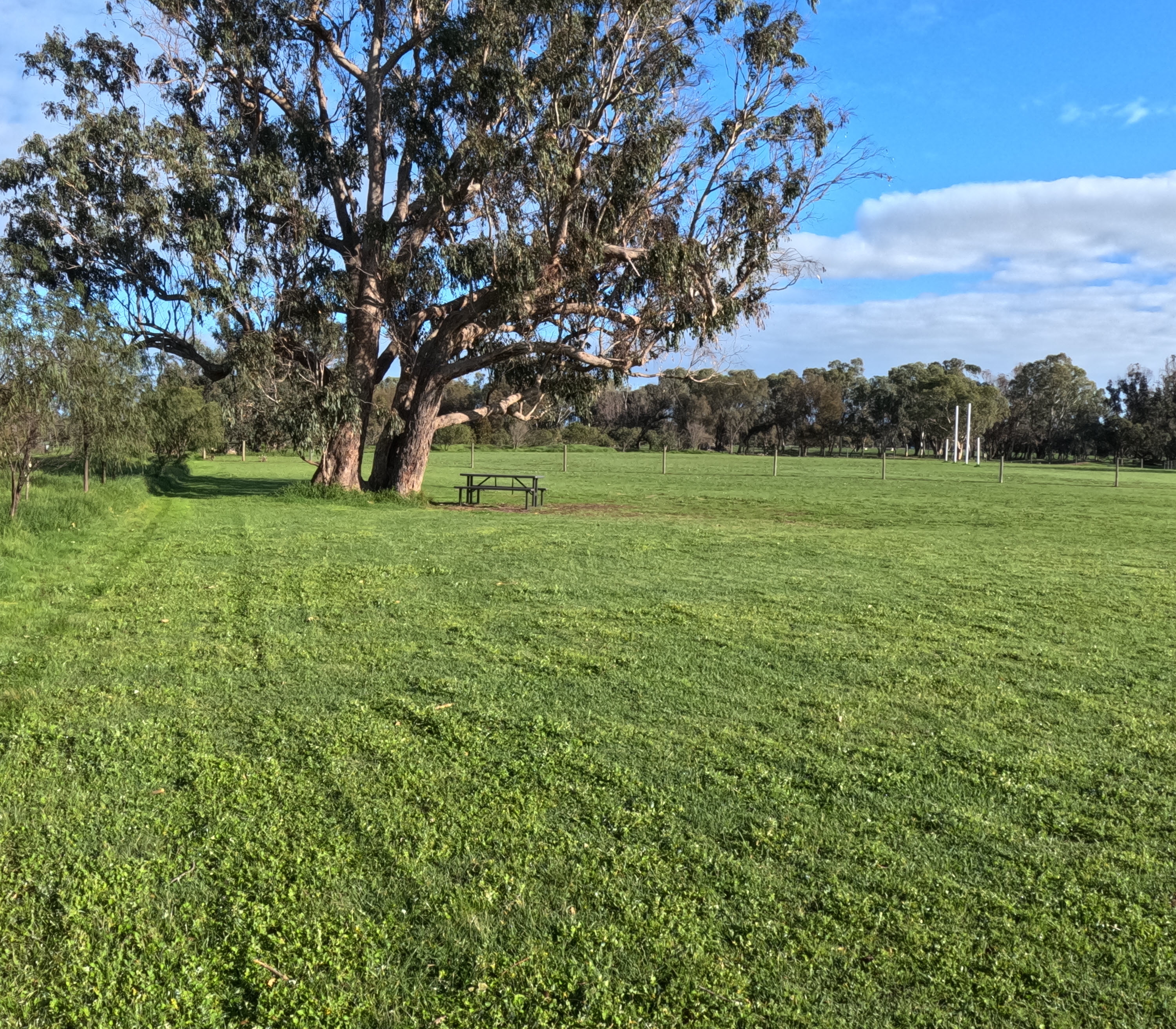 Off-Lead Dog Exercise Area